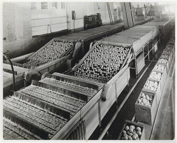 (MUTUAL ORANGE DISTRIBUTORS) Album of approximately 33 silver prints depicting the Redland, California distribution companys process.